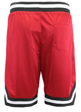 Load image into Gallery viewer, Basketball Shorts
